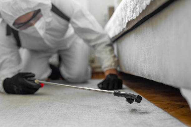 Professional Cockroach Control technician working in Sharon, MS